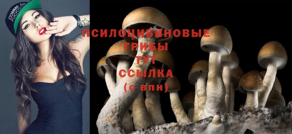скорость Снежногорск