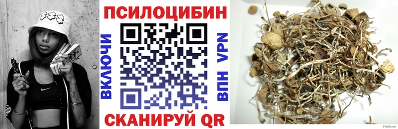 Псилоцибиновые грибы Psilocybe  Сельцо 